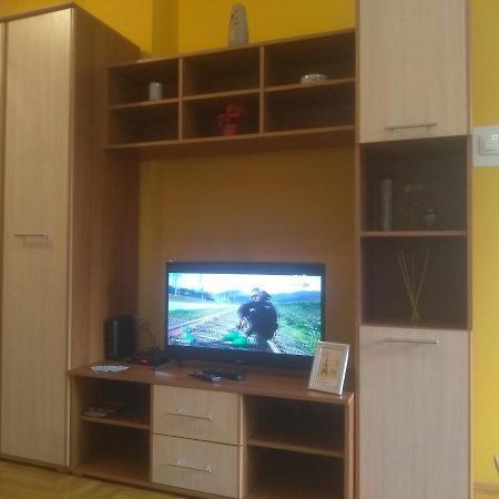 Apartman Marina Sa Garazom Novi Sad Ngoại thất bức ảnh