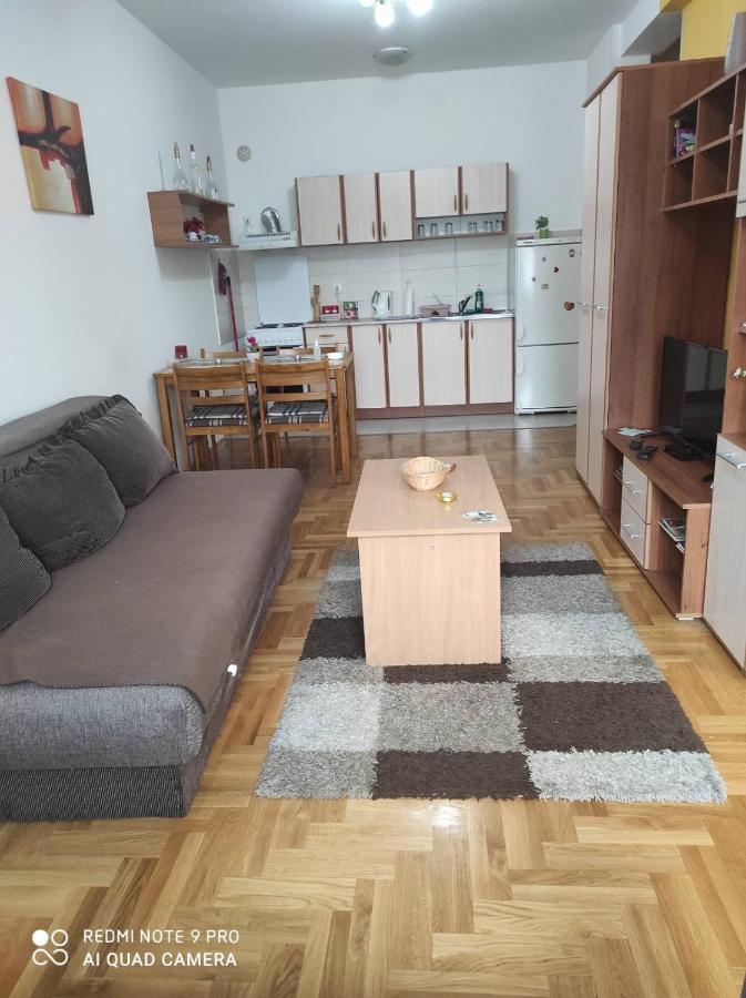 Apartman Marina Sa Garazom Novi Sad Ngoại thất bức ảnh