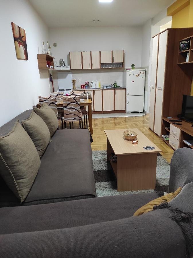 Apartman Marina Sa Garazom Novi Sad Ngoại thất bức ảnh
