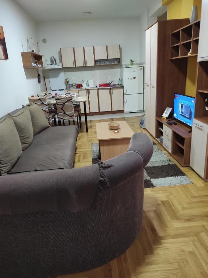 Apartman Marina Sa Garazom Novi Sad Ngoại thất bức ảnh