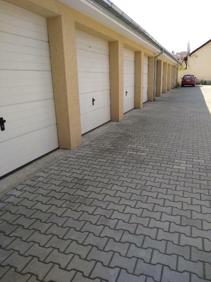 Apartman Marina Sa Garazom Novi Sad Ngoại thất bức ảnh