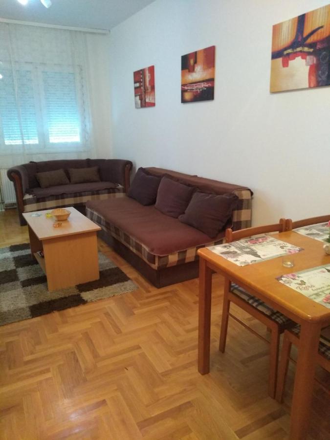 Apartman Marina Sa Garazom Novi Sad Ngoại thất bức ảnh