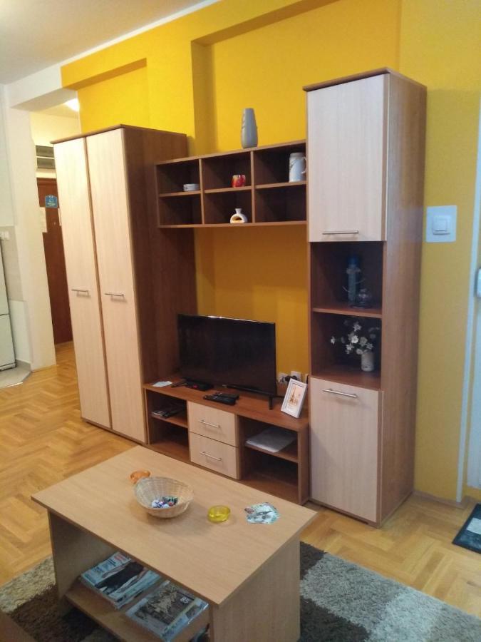 Apartman Marina Sa Garazom Novi Sad Ngoại thất bức ảnh